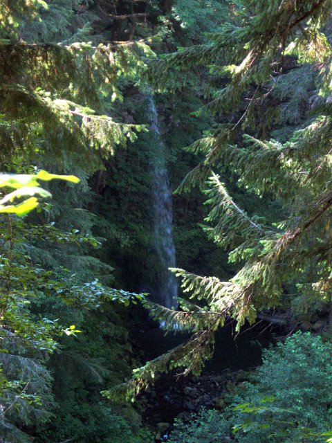 Paradise Creek-105.JPG - Miller Falls